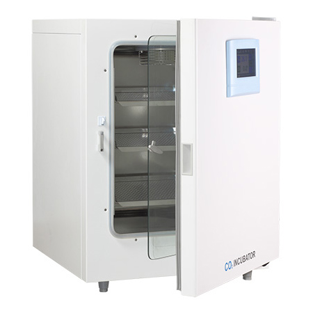 黄色电影在线观看网站 CO2培养箱二氧化碳培养箱BPN-240RWP