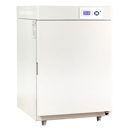 黄色录像视频.COm 二氧化碳培养箱CO2培养箱BPN-150CH(UV)