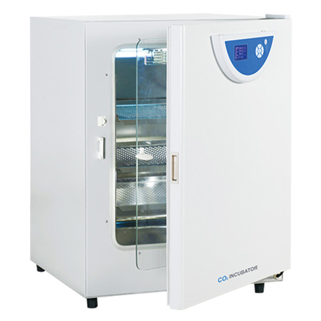 黄色录像视频.COm BPN-150CRH二氧化碳培养箱CO2培养箱